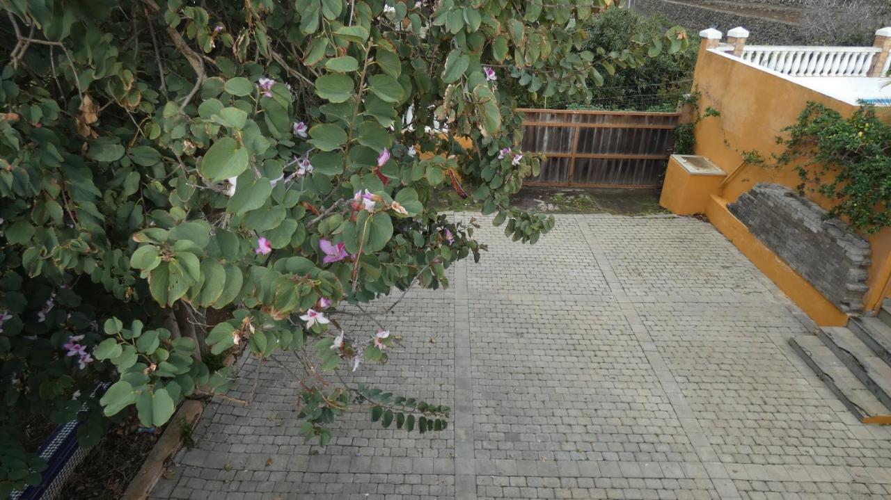 Atlantic Views Hotel Tacoronte Bagian luar foto